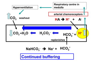 H+H2CO3
-
HCO3
-
+CO2 +H2O
HA  H+
+ A-
NaHCO3
-
 Na+
+ HCO3
-
replenishes
Hyperventilation
washoutCO2
Respiratory centre in
medulla
arterial chemoreceptors
Continued buffering
 