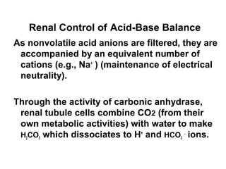 Renal Control of Acid-Base Balance
As nonvolatile acid anions are filtered, they are
accompanied by an equivalent number of
cations (e.g., Na+
) (maintenance of electrical
neutrality).
Through the activity of carbonic anhydrase,
renal tubule cells combine CO2 (from their
own metabolic activities) with water to make
H2CO3 which dissociates to H+
and HCO3
-
ions.
 