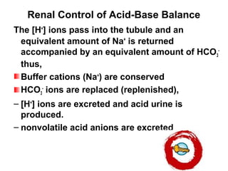 Renal Control of Acid-Base Balance
The [H+
] ions pass into the tubule and an
equivalent amount of Na+
is returned
accompanied by an equivalent amount of HCO3
-
thus,
Buffer cations (Na+
) are conserved
HCO3
-
ions are replaced (replenished),
– [H+
] ions are excreted and acid urine is
produced.
– nonvolatile acid anions are excreted
 