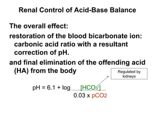 Renal Control of Acid-Base Balance
The overall effect:
restoration of the blood bicarbonate ion:
carbonic acid ratio with a resultant
correction of pH.
and final elimination of the offending acid
(HA) from the body
pH = 6.1 + log [HCO3-
]
0.03 x pCO2
Regulated by
kidneys
 