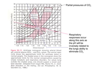 Partial pressures of CO2
Respiratory
responses occur
along this axis as
the pH will be
inversely related to
the lungs ability to
eliminate CO2
 