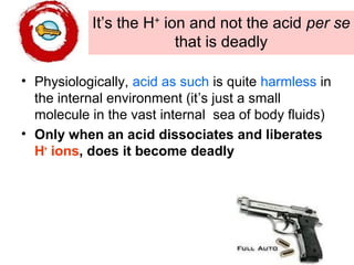 It’s the H+
ion and not the acid per se
that is deadly
• Physiologically, acid as such is quite harmless in
the internal environment (it’s just a small
molecule in the vast internal sea of body fluids)
• Only when an acid dissociates and liberates
H+
ions, does it become deadly
 