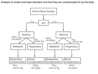 Analysis of simple acid base disorders and how they are compensated for by the body.
 