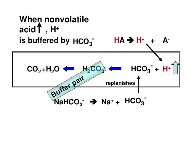 Acid Base Balance and Primary Disturbances - basic concepts