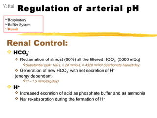 Acid-Base Balance : Basics | PPT