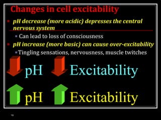 Changes in cell excitability
■ pH decrease (more acidic) depresses the central
nervous system
■ Can lead to loss of consci...