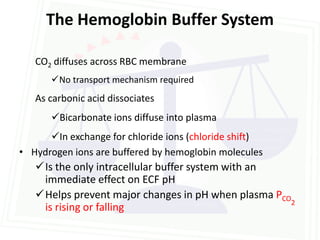 The Hemoglobin Buffer System

   CO2 diffuses across RBC membrane
      No transport mechanism required
   As carbonic acid dissociates
      Bicarbonate ions diffuse into plasma
      In exchange for chloride ions (chloride shift)
• Hydrogen ions are buffered by hemoglobin molecules
   Is the only intracellular buffer system with an
    immediate effect on ECF pH
   Helps prevent major changes in pH when plasma PCO
                                                     2
    is rising or falling
 