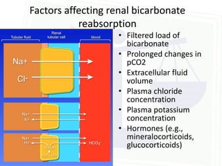 Factors affecting renal bicarbonate
           reabsorption
                   • Filtered load of
                     bicarbonate
                   • Prolonged changes in
                     pCO2
                   • Extracellular fluid
                     volume
                   • Plasma chloride
                     concentration
                   • Plasma potassium
                     concentration
                   • Hormones (e.g.,
                     mineralocorticoids,
                     glucocorticoids)
 