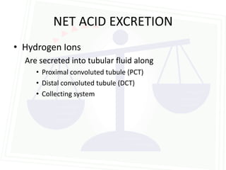 NET ACID EXCRETION
• Hydrogen Ions
  Are secreted into tubular fluid along
     • Proximal convoluted tubule (PCT)
     • Distal convoluted tubule (DCT)
     • Collecting system
 