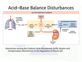 Acid–Base Balance Disturbances




Interactions among the Carbonic Acid–Bicarbonate Buffer System and
   Compensatory Mechanisms in the Regulation of Plasma pH.
 