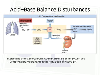 Acid–Base Balance Disturbances
           decreased




Interactions among the Carbonic Acid–Bicarbonate Buffer System and
   Compensatory Mechanisms in the Regulation of Plasma pH.
 