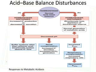 Acid–Base Balance Disturbances




.


    Responses to Metabolic Acidosis
 