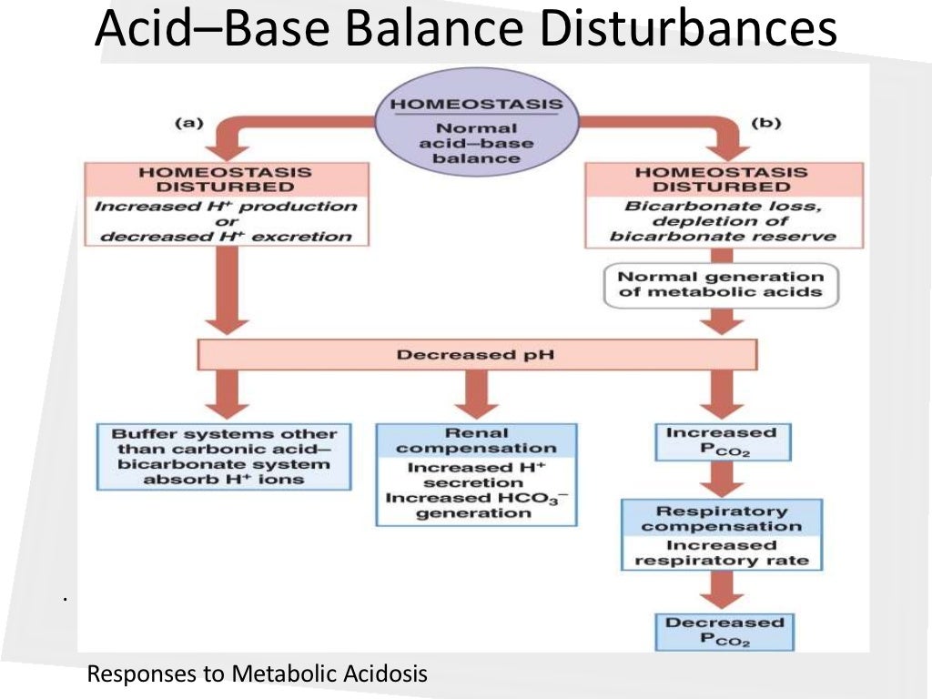 what is acid base balance in the body