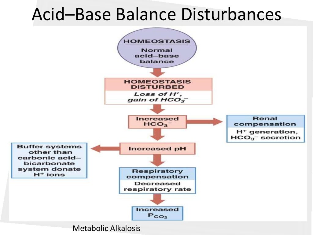 Acid base balance
