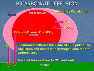 acid base balance (Fluid & ELectrolyte).ppt