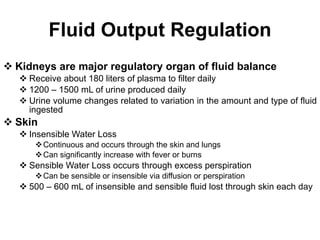 Fluid Output Regulation Kidneys are major regulatory organ of fluid balance Receive about 180 liters of plasma to filter daily 1200 – 1500 mL of urine produced daily Urine volume changes related to variation in the amount and type of fluid ingested Skin Insensible Water Loss Continuous and occurs through the skin and lungs  Can significantly increase with fever or burns Sensible Water Loss occurs through excess perspiration Can be sensible or insensible via diffusion or perspiration 500 – 600 mL of insensible and sensible fluid lost through skin each day 
