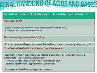 Normal contributions of tubular segments to renal hydrogen ion balance:
Proximal tubule
- Reabsorbs most filtered bicarbonate (normally about 80%)*
-Produces and secretes ammonium
Thick ascending limb of Henle’s loop
- Reabsorbs second largest fraction of filtered bicarbonate (normally about 10–15%)*
Distal convoluted tubule and collecting-duct system
-Reabsorbs virtually all remaining filtered bicarbonate as well as any secreted
bicarbonate (Type A intercalated cells)*
- Produces titratable acid (Type A intercalated cells)*
- Secretes bicarbonate (Type B intercalated cells)
* Processes achieved by hydrogen ion secretion.
 