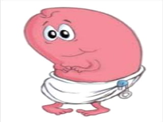 Acid base balance(ph)