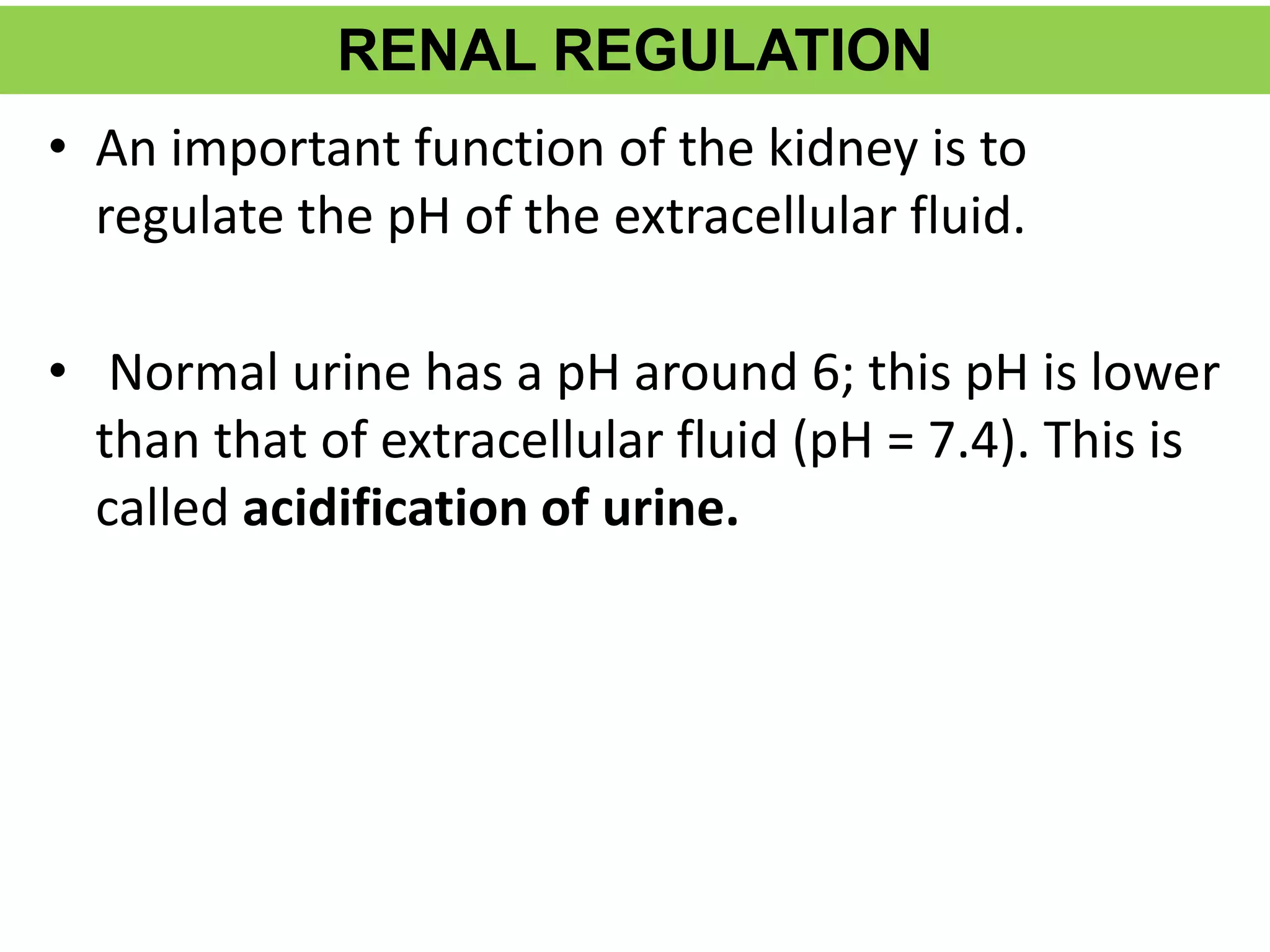 RENAL REGULATION
• An important function of the kidney is to
regulate the pH of the extracellular fluid.
• Normal urine has a pH around 6; this pH is lower
than that of extracellular fluid (pH = 7.4). This is
called acidification of urine.
 