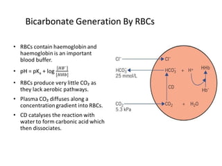 Acid Base Balance and electrolyte imbalance | PDF