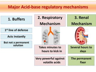 Major Acid-base regulatory mechanisms
1. Buffers 2. Respiratory
Mechanism
3. Renal
Mechanism
Acts Instantly
But not a permanent
solution
Takes minutes to
hours to kick in
Very powerful against
volatile acids
Several hours to
days
The permanent
fixer
1st line of defense
 
