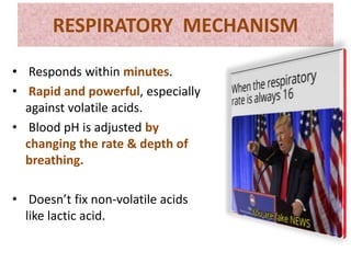RESPIRATORY MECHANISM
• Responds within minutes.
• Rapid and powerful, especially
against volatile acids.
• Blood pH is adjusted by
changing the rate & depth of
breathing.
• Doesn’t fix non-volatile acids
like lactic acid.
 