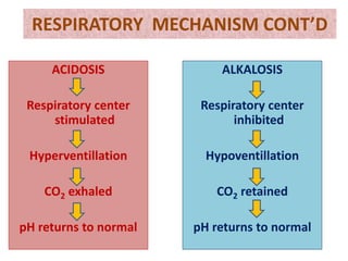 ACIDOSIS
Respiratory center
stimulated
Hyperventillation
CO2 exhaled
pH returns to normal
RESPIRATORY MECHANISM CONT’D
ALKALOSIS
Respiratory center
inhibited
Hypoventillation
CO2 retained
pH returns to normal
 