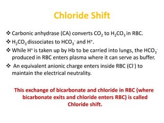 Chloride Shift
Carbonic anhydrase (CA) converts CO2 to H2CO3 in RBC.
H2CO3 dissociates to HCO3
- and H+.
While H+ is taken up by Hb to be carried into lungs, the HCO3
-
produced in RBC enters plasma where it can serve as buffer.
 An equivalent anionic charge enters inside RBC (Cl-) to
maintain the electrical neutrality.
This exchange of bicarbonate and chloride in RBC (where
bicarbonate exits and chloride enters RBC) is called
Chloride shift.
 