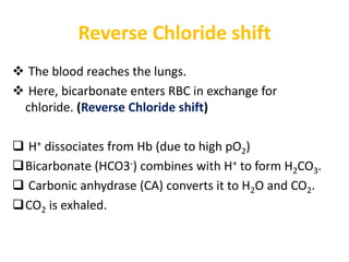 Reverse Chloride shift
 The blood reaches the lungs.
 Here, bicarbonate enters RBC in exchange for
chloride. (Reverse Chloride shift)
 H+ dissociates from Hb (due to high pO2)
Bicarbonate (HCO3-) combines with H+ to form H2CO3.
 Carbonic anhydrase (CA) converts it to H2O and CO2.
CO2 is exhaled.
 