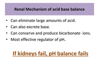 Renal Mechanism of acid base balance
• Can eliminate large amounts of acid.
• Can also excrete base.
• Can conserve and produce bicarbonate ions.
• Most effective regulator of pH.
If kidneys fail, pH balance fails
 