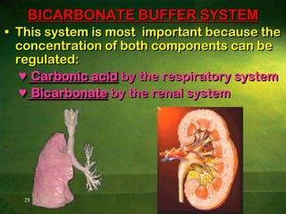 16Determination of Acid Base StatuspH  =  pK  +  log   HCO3       			             CO2Henderson-Hasselbalch equation               Normal acid-base ratio= 1:20ph of arterial blood= indirect method