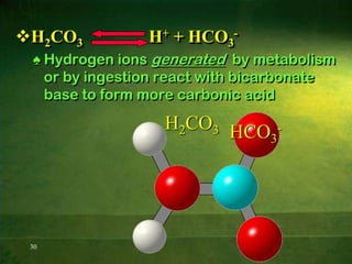 17ACIDOSIS / ALKALOSIS