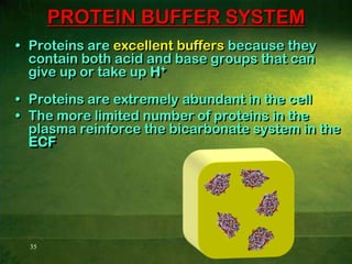 pH increase (more basic) can cause over-excitability