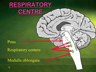 24Influences On K+ LevelsIf H+ concentrations are high (acidosis) than H+ is secreted in greater amounts.