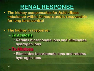 25SOURCE OF HYDROGEN IONCO2 + H2O          H2CO3          H+ + HCO3-H+ H2CO3HCO3-