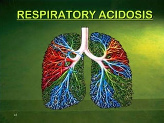 Acid-base buffer systemMaintains the pH by binding with free hydrogen ions.