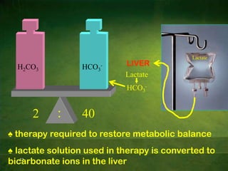  Bicarbonate by the renal system30H+H2CO3H+ + HCO3-