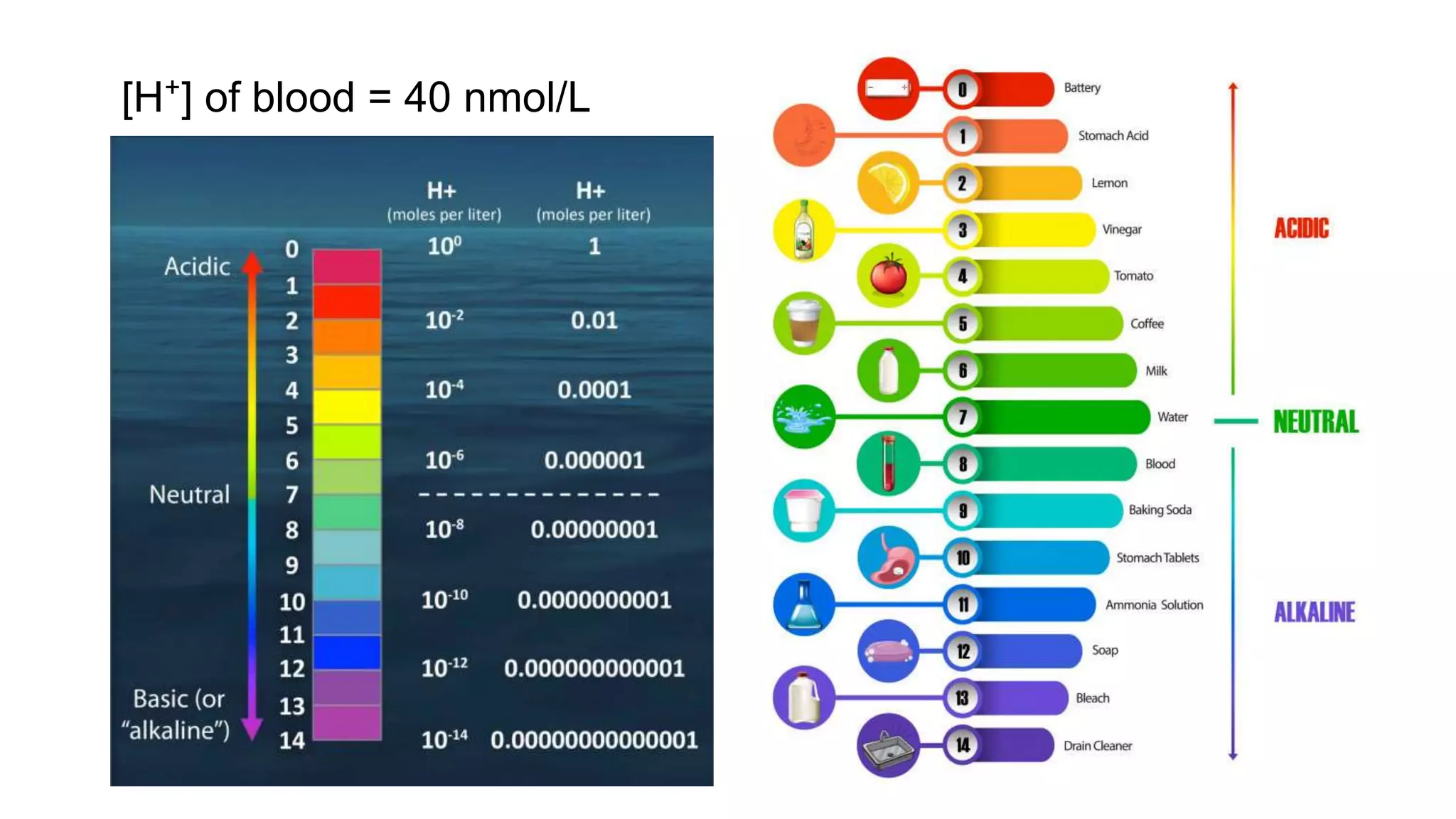 [H⁺] of blood = 40 nmol/L
 