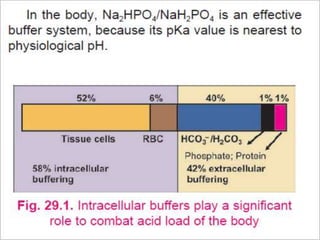 Acid base buffer ph | PPT