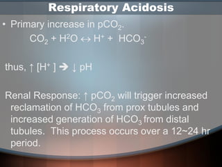 Acid Base Disorders | PDF