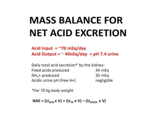 Acid base controle