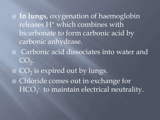 In lungs, oxygenation of haemoglobin
releases H+ which combines with
bicarbonate to form carbonic acid by
carbonic anhydrase.
 Carbonic acid dissociates into water and
CO2.
 CO2 is expired out by lungs.
 Chloride comes out in exchange for
HCO3
- to maintain electrical neutrality.
 
