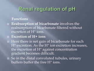 Functions
 Reabsorption of bicarbonate involves the
reabsorption of bicarbonate filtered without
excretion of H+ ions.
 Excretion of H+ ions
 Here there is net gain of bicarbonate for each
H+ excretion. As the H+ ion excretion increases,
the excretion of H+ against concentration
gradient becomes difficult.
 So in the distal convoluted tubules, urinary
buffers buffer the free H+ ions.
 