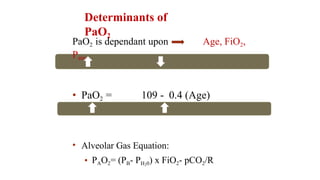 Pao2/fio2 Equation acid base disorders residency high yield presentation | PPTX