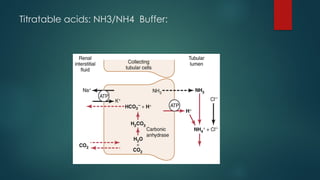 Titratable acids: NH3/NH4 Buffer:
 
