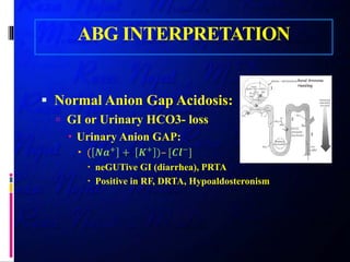 ABG INTERPRETATION
 Normal Anion Gap Acidosis:
 GI or Urinary HCO3- loss
 Urinary Anion GAP:
 ( 𝑵𝑵𝑵𝑵+
+ 𝑲𝑲+
)– [𝑪𝑪𝑪𝑪−
]
 neGUTive GI (diarrhea), PRTA
 Positive in RF, DRTA, Hypoaldosteronism
 