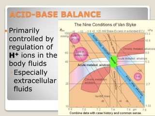 ACID-BASE BALANCE 
 Primarily 
controlled by 
regulation of 
H+ ions in the 
body fluids 
◦ Especially 
extracellular 
fluids 
11 
 