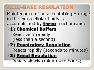 ACID-BASE REGULATION 
 Maintenance of an acceptable pH range 
in the extracellular fluids is 
accomplished by three mechanisms: 
◦1) Chemical Buffers 
React very rapidly 
(less than a second) 
◦2) Respiratory Regulation 
Reacts rapidly (seconds to minutes) 
◦3) Renal Regulation 
Reacts slowly (minutes to hours) 
13 
 
