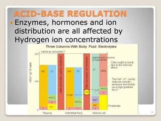 ACID-BASE REGULATION 
 Enzymes, hormones and ion 
distribution are all affected by 
Hydrogen ion concentrations 
18 
 