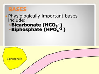 BASES 
 Physiologically important bases 
include: 
◦Bicarbonate (HCO- ) 
3 
◦Biphosphate (HPO4 
-2 ) 
24 
Biphosphate 
 